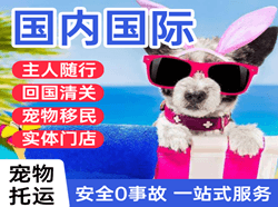 舟山普陀山空运地址国际宠物托运 【国